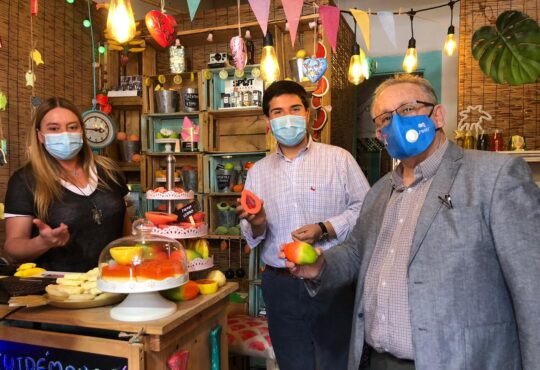 Presentan Visor Pymes de Barrio en la región de Arica y Parinacota