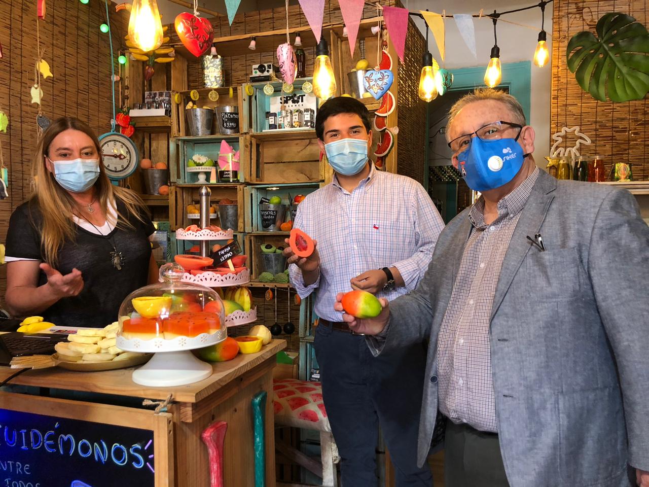Presentan Visor Pymes de Barrio en la región de Arica y Parinacota