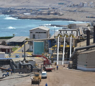 Industria pesquera ariqueña aumentó sus exportaciones