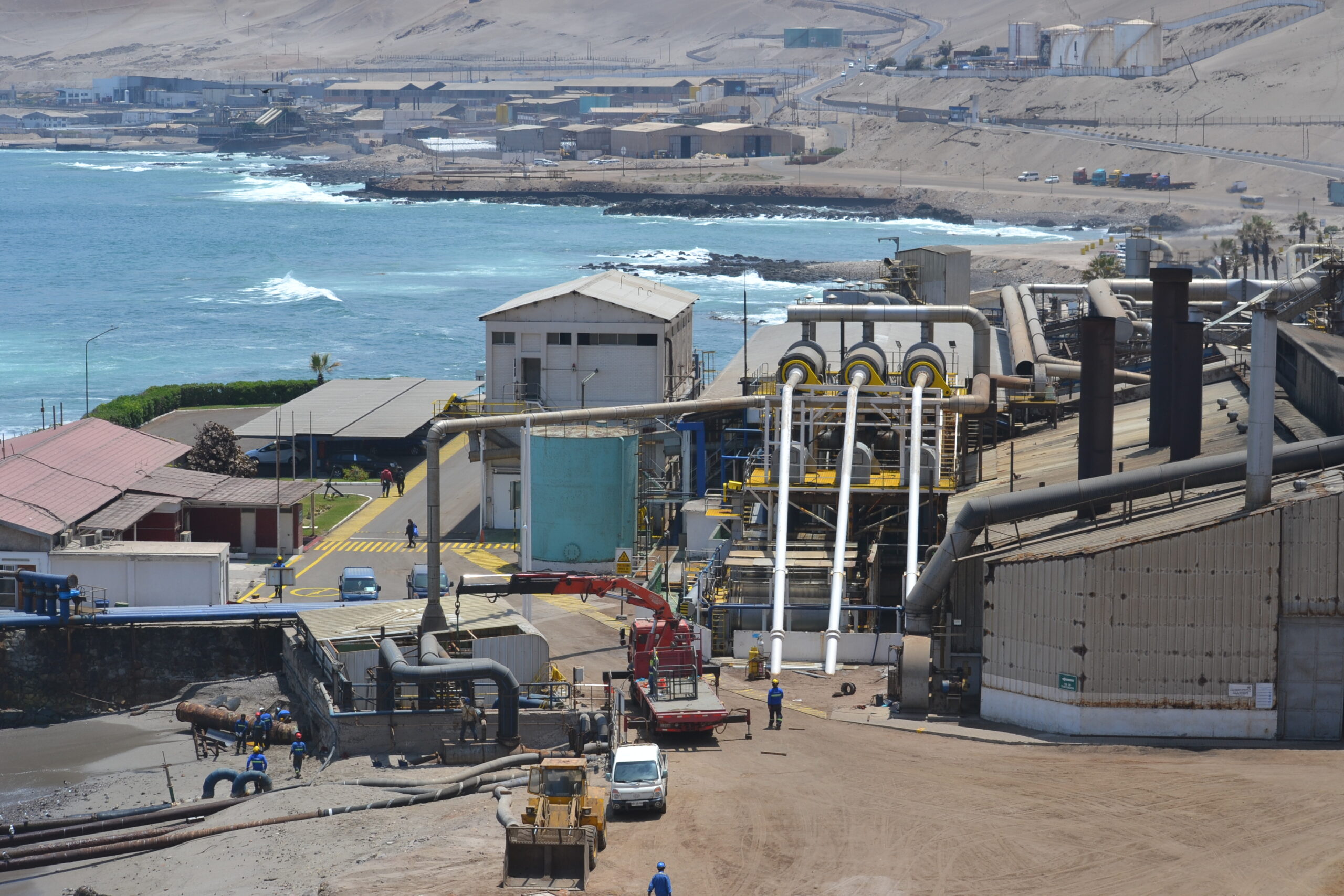 Industria pesquera ariqueña aumentó sus exportaciones