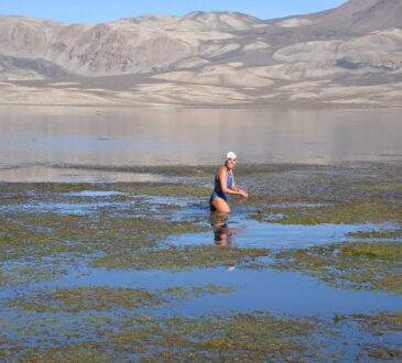 “Ñusta del Lago Chungará” presentará su hazaña al Guinness