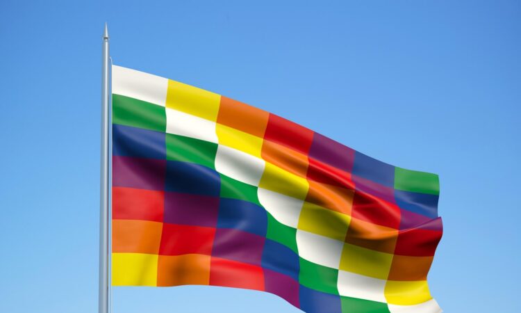 Consejo Nacional Aymara exige 20 escaños para los pueblos originarios de Chile