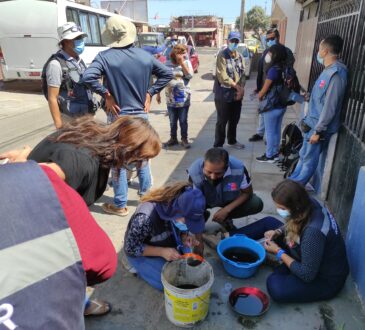 En el pasaje Los Boldos de la Cabo Aroca descubren masivo foco de larvas zancudo Aedes