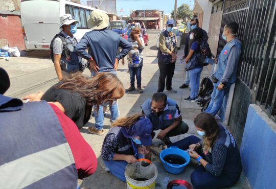 En el pasaje Los Boldos de la Cabo Aroca descubren masivo foco de larvas zancudo Aedes