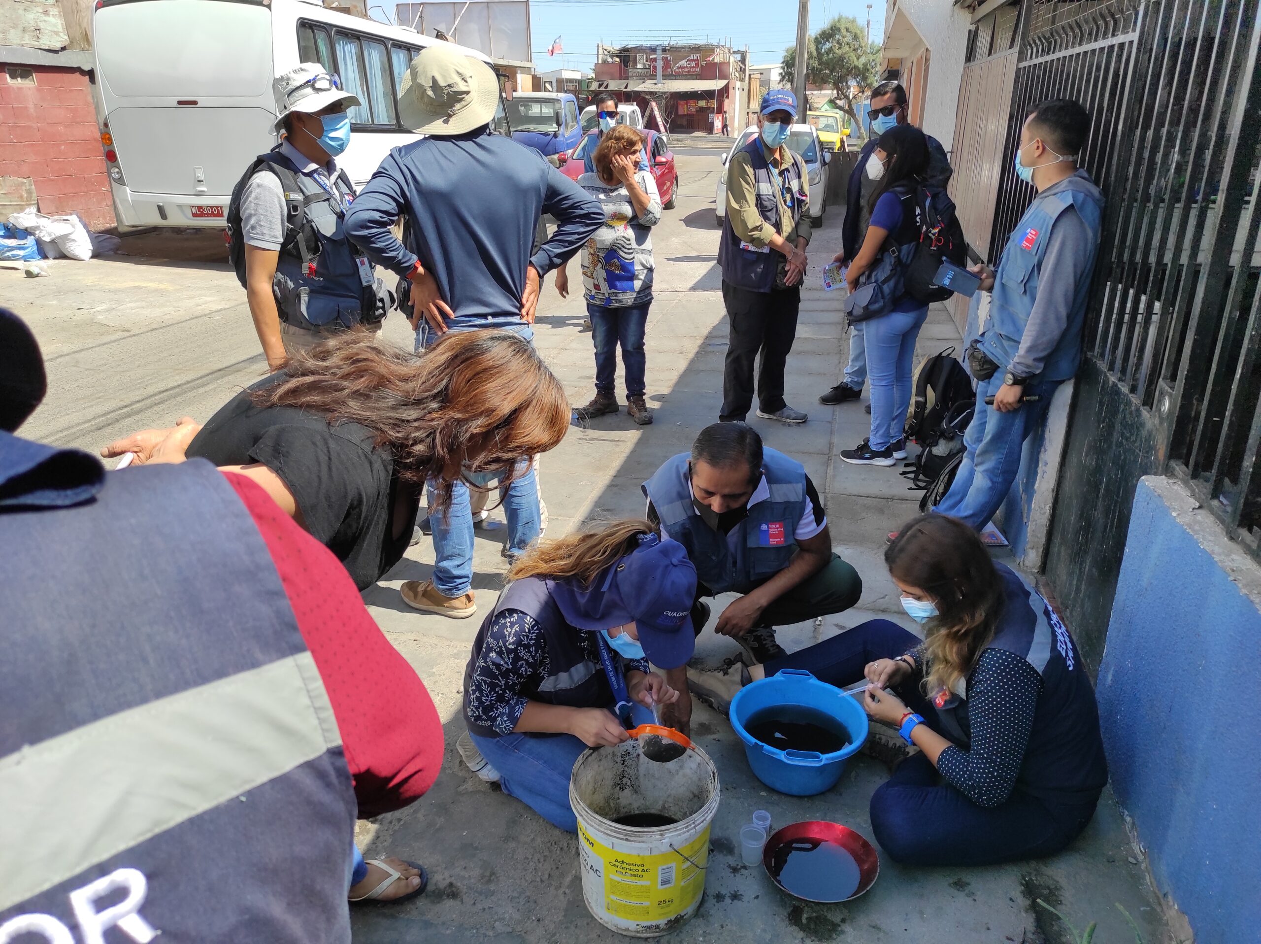 En el pasaje Los Boldos de la Cabo Aroca descubren masivo foco de larvas zancudo Aedes