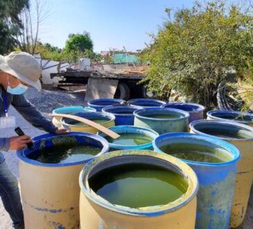 COE Sanitario junto a la comunidad buscan eliminar mosquitos Aedes y Anopheles