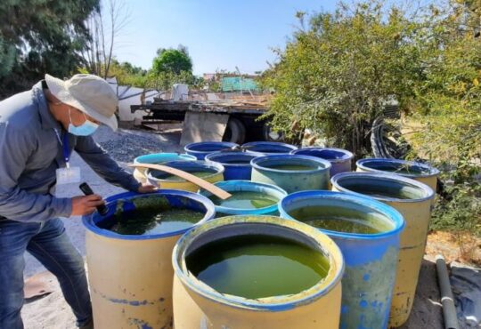 COE Sanitario junto a la comunidad buscan eliminar mosquitos Aedes y Anopheles