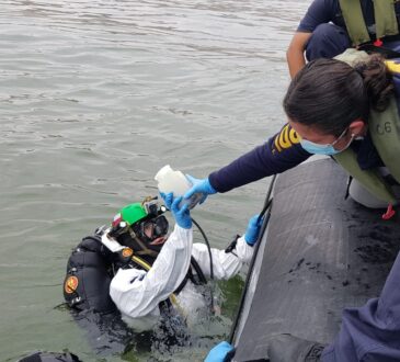 Bidema extrae muestras del litoral para identificar causas de varazones