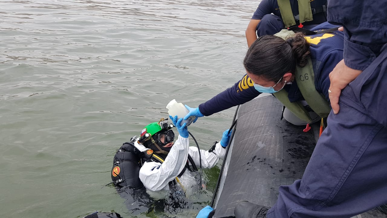 Bidema extrae muestras del litoral para identificar causas de varazones