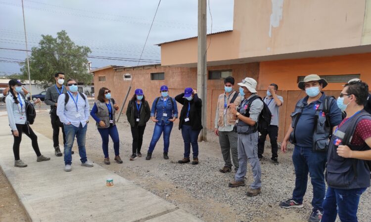 Con nuevo equipo reforzado cuenta Seremi de Salud en campaña contra zancudo Aedes aegypti