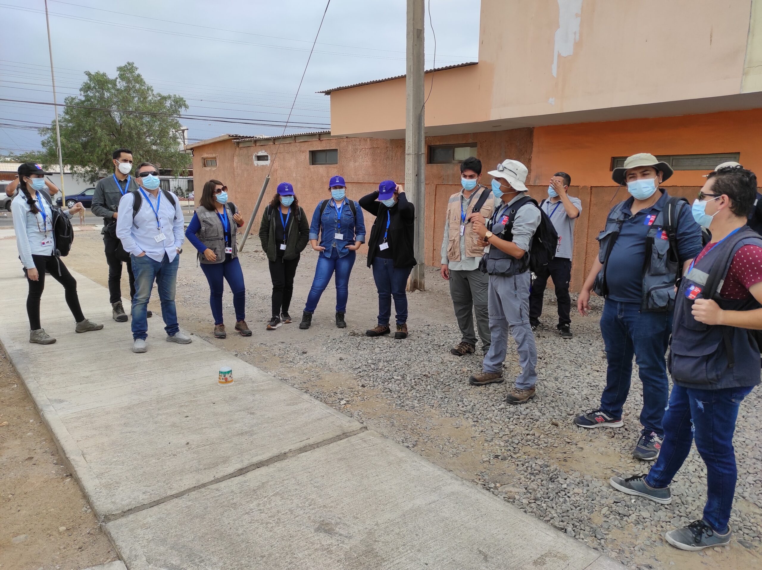Con nuevo equipo reforzado cuenta Seremi de Salud en campaña contra zancudo Aedes aegypti