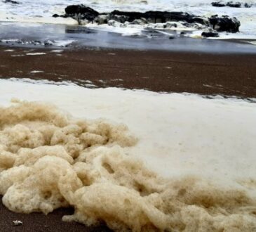 Alertan contaminación en el litoral de Tacna