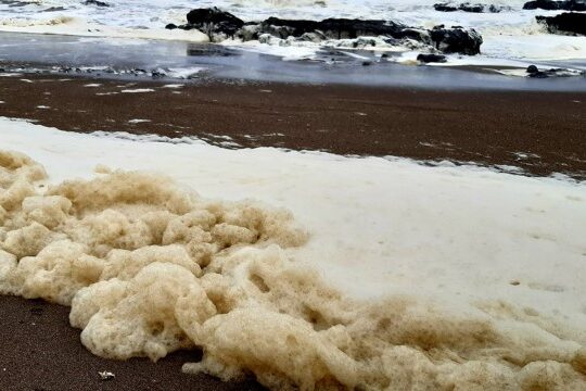 Alertan contaminación en el litoral de Tacna