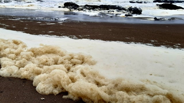 Alertan contaminación en el litoral de Tacna