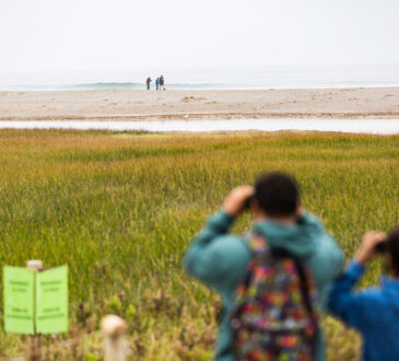 Ciudad ecológica: Amplían Zona de Resguardo del Humedal Río Lluta