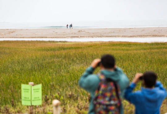 Ciudad ecológica: Amplían Zona de Resguardo del Humedal Río Lluta