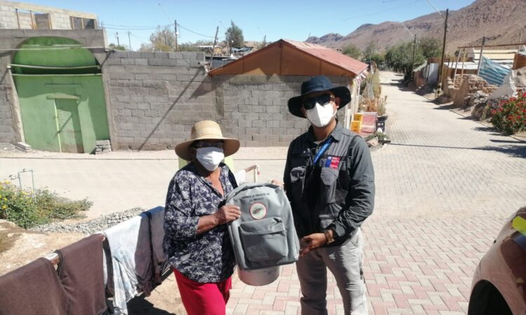 Intensa búsqueda de vinchucas en poblados de la comuna de Camarones