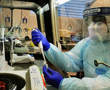 Viajero proveniente de Miami trajo la primera cepa Delta a Arica