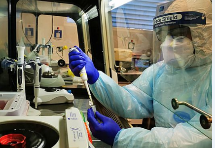 Viajero proveniente de Miami trajo la primera cepa Delta a Arica