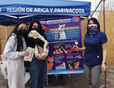 Este viernes 15 parte campaña antirrábica para proteger a las mascotas del valle de Lluta