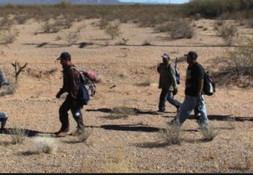 Mano dura de la Fiscalía ariqueña a banda de coyotes