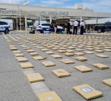 Casi una tonelada y media de cannabis sativa incautó la PDI