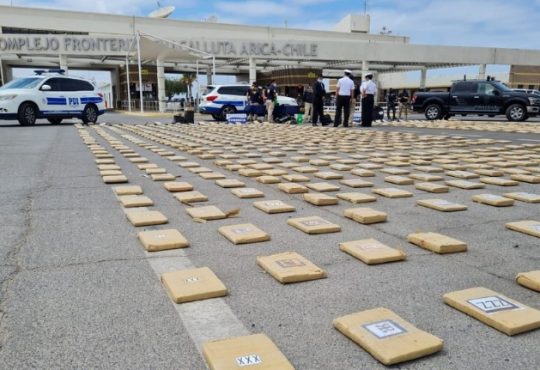 Casi una tonelada y media de cannabis sativa incautó la PDI