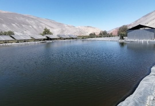 Lanzan fondo concursable para Organizaciones de Usuarios de Aguas