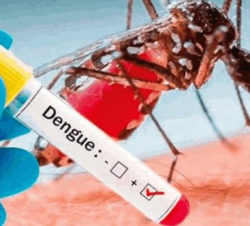 Atención Arica: Perú en alerta por brote de Dengue