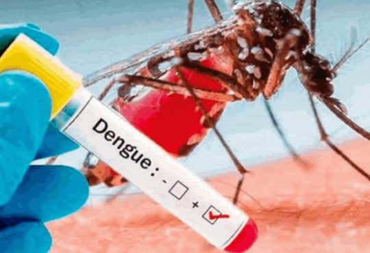 Atención Arica: Perú en alerta por brote de Dengue