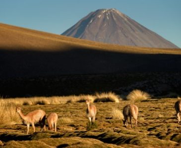 Rayo mató a pastora en la localidad de Humapalca