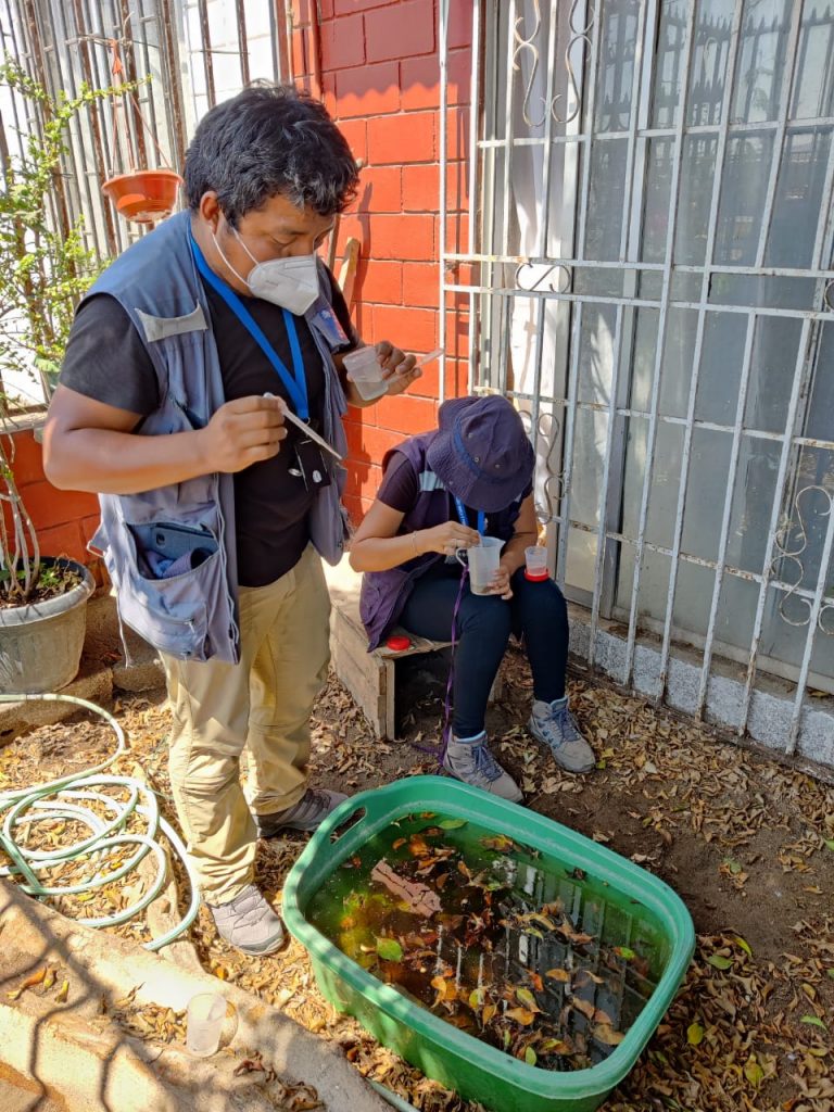 Piden abrir puertas a equipo búsqueda entomológica en campaña “Arica sin Aedes”