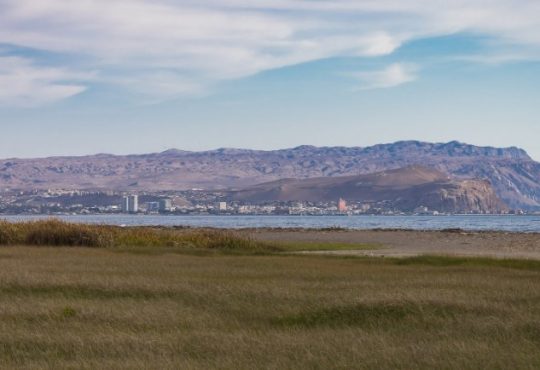 Loteos brujos ponen en peligro de muerte el Humedal del río Lluta