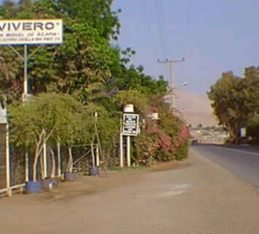 Vecinos fueron claves para capturar a banda que asaltaba parcelas en Azapa