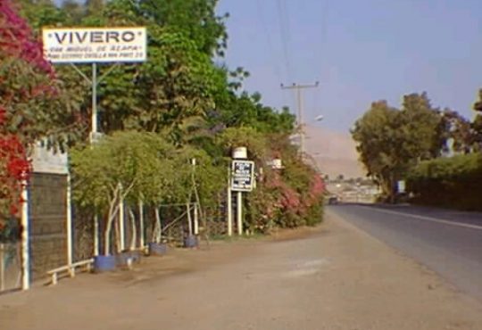 Vecinos fueron claves para capturar a banda que asaltaba parcelas en Azapa