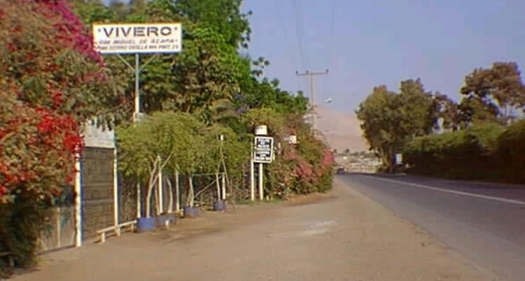 Vecinos fueron claves para capturar a banda que asaltaba parcelas en Azapa