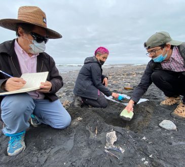 Investigadores de la UTA analizan uso del manganeso en la Cultura Chinchorro