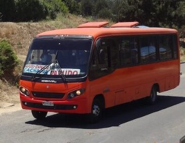 19 servicios de locomoción gratuitos serán habilitados durante el Plebiscito