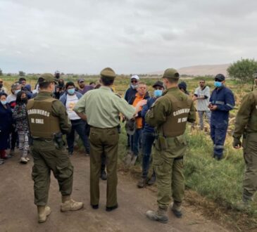 Cien personas que se tomaron terrenos en Lluta desalojados y acusados de usurpadores ante la Ley