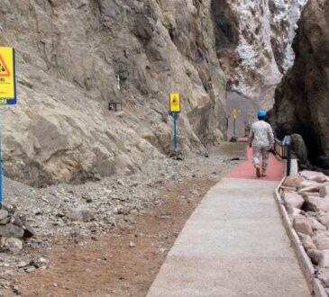 Juzgado de Garantía envió a prisión a imputado por robo y atacar a mordiscos a carabinero