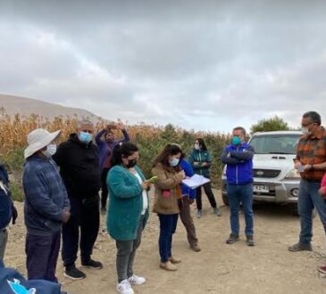 Denuncian loteos irregulares en valle de Lluta destinados a viviendas