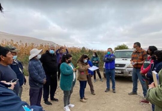 Denuncian loteos irregulares en valle de Lluta destinados a viviendas