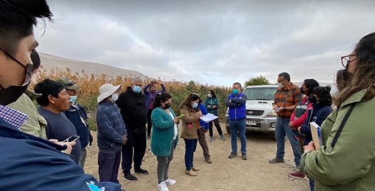 Denuncian loteos irregulares en valle de Lluta destinados a viviendas