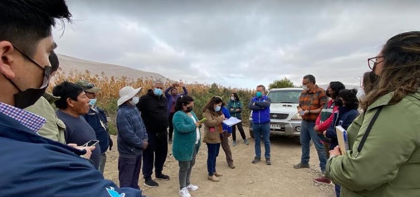 Denuncian loteos irregulares en valle de Lluta destinados a viviendas