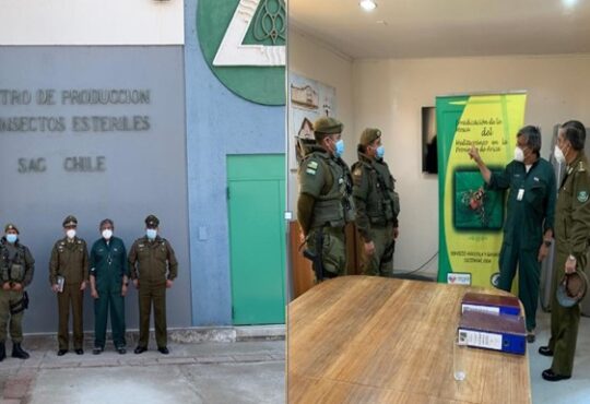 Carabineros O.S. 5 capacita en material radiactivo y manejo de emergencias