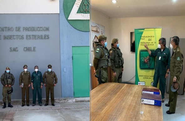 Carabineros O.S. 5 capacita en material radiactivo y manejo de emergencias