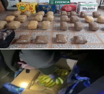 Ocultaban en cajas plataneras 114 millones en pasta base y marihuana