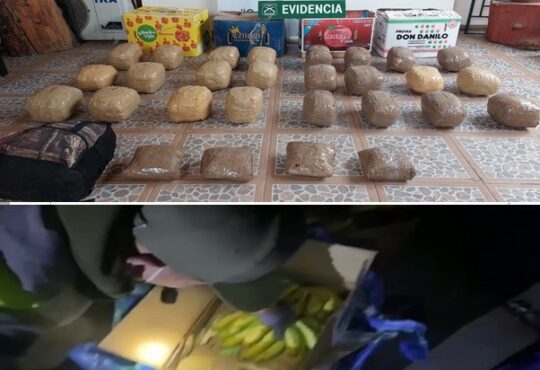 Ocultaban en cajas plataneras 114 millones en pasta base y marihuana