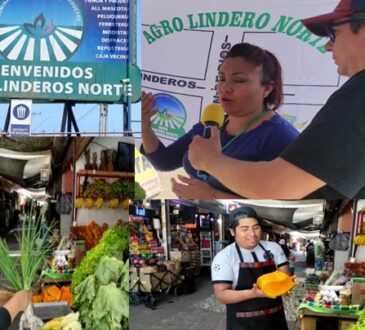 Agro de Linderos centro proveedor del norte de la ciudad