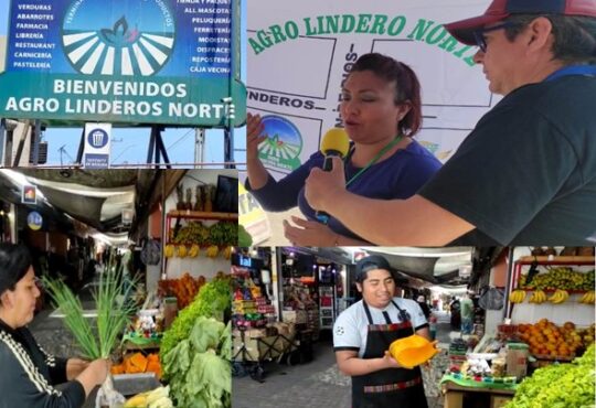 Agro de Linderos centro proveedor del norte de la ciudad